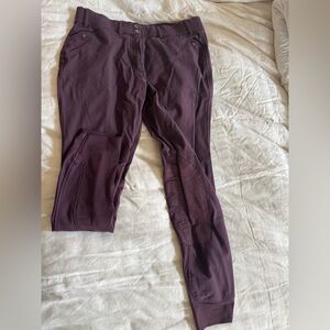Ariat riding breeches
